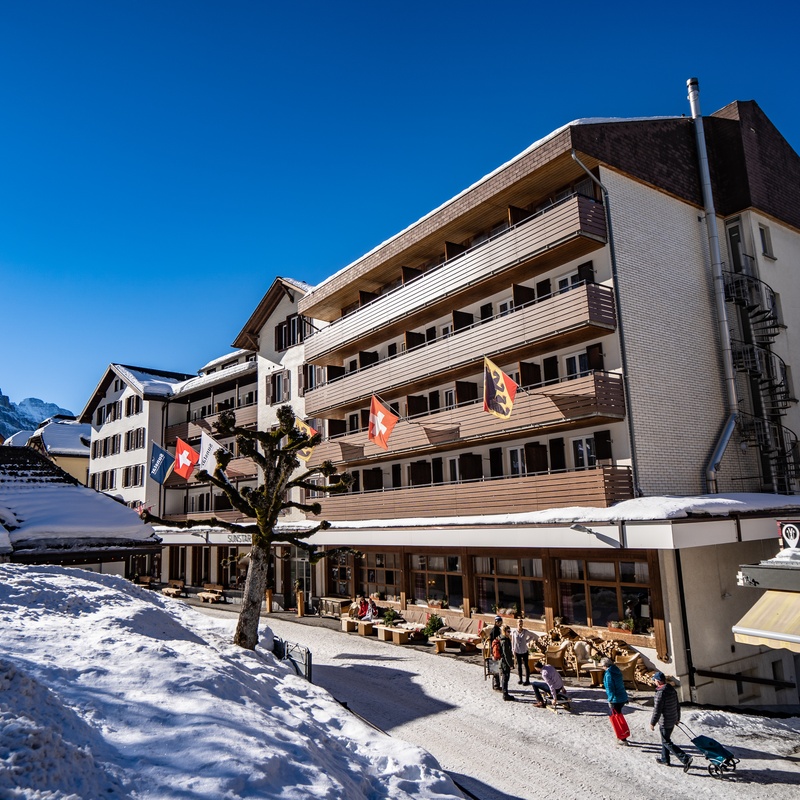 Hotel Alpine